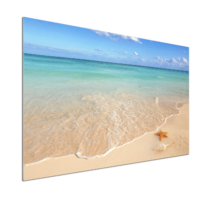 Panel lacobel Rozgwiazda na plaży