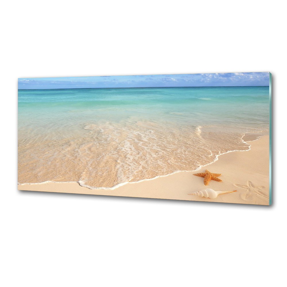 Panel lacobel Rozgwiazda na plaży