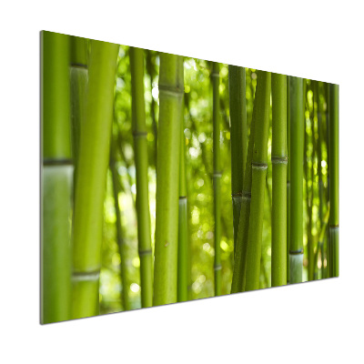 Panel szklany do kuchni Bambus