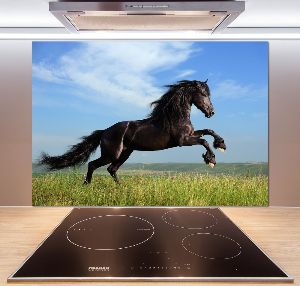 Panel do kuchni Czarny koń na łące