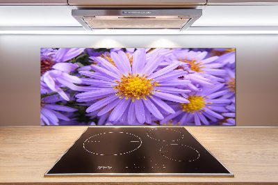 Panel szklany do kuchni Astry