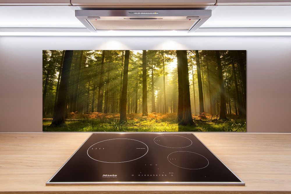 Panel dekor szkło Las w słońcu