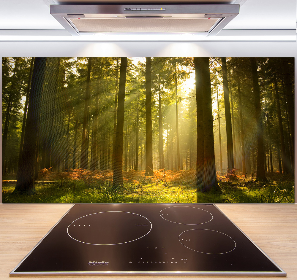 Panel dekor szkło Las w słońcu