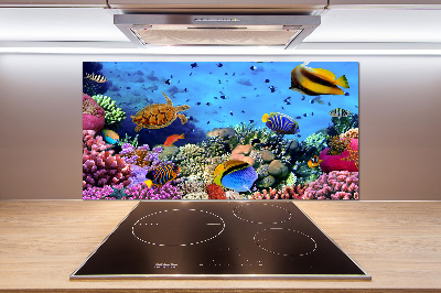 Panel do kuchni Rafa koralowa