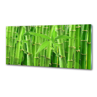 Panel szklany do kuchni Bambusy