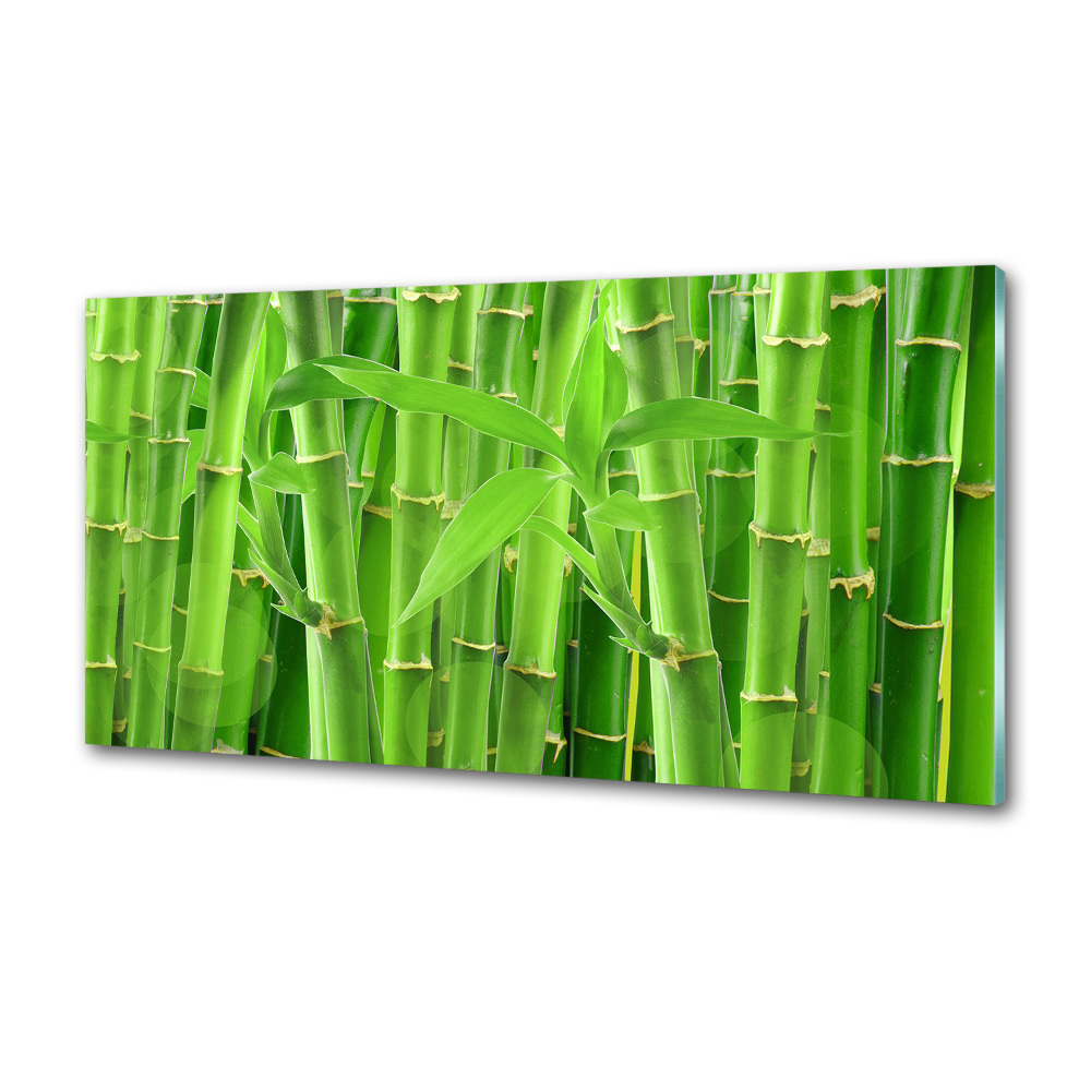 Panel szklany do kuchni Bambusy