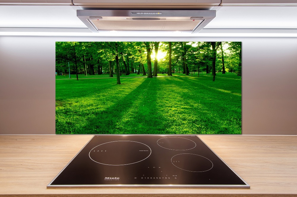 Panel do kuchni Trawa w parku