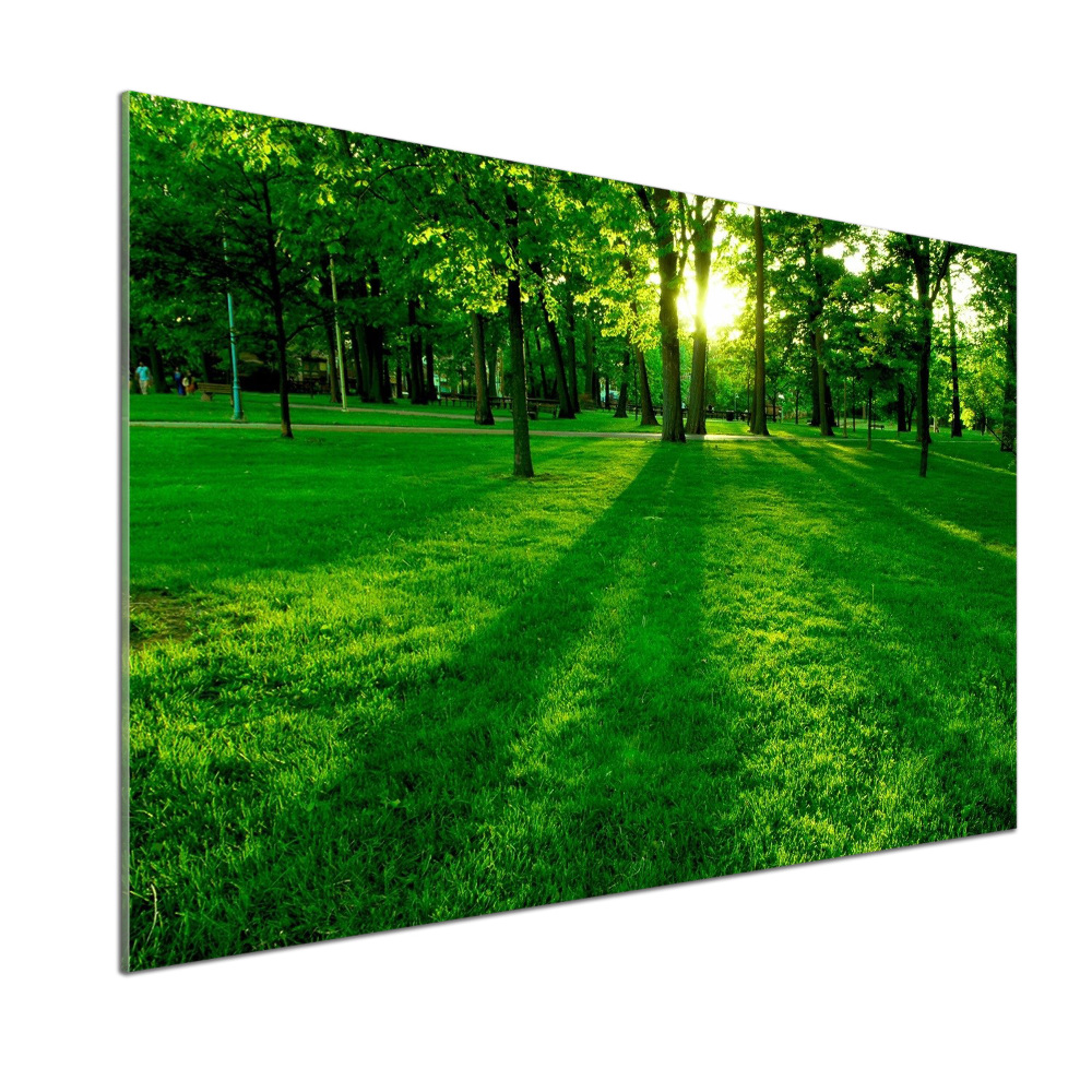 Panel do kuchni Trawa w parku