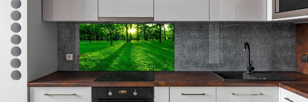 Panel do kuchni Trawa w parku