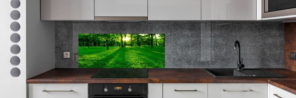 Panel do kuchni Trawa w parku