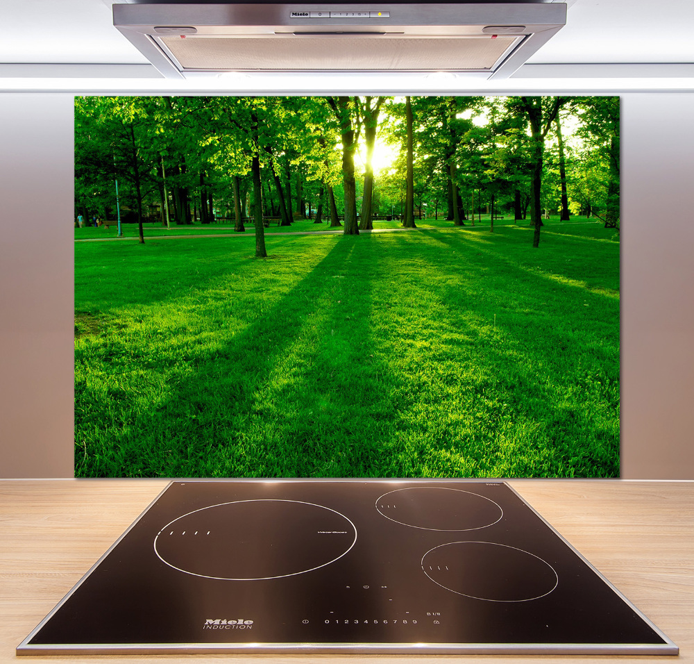 Panel do kuchni Trawa w parku