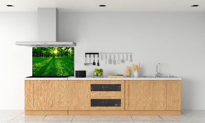 Panel do kuchni Trawa w parku