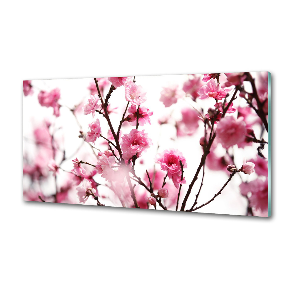 Panel dekor szkło Kwiat śliwki