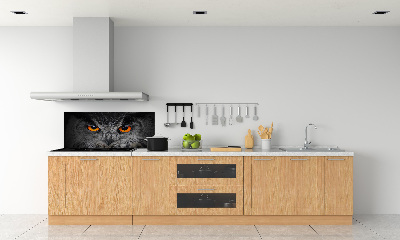 Panel lacobel Diabelskie oczy sowy