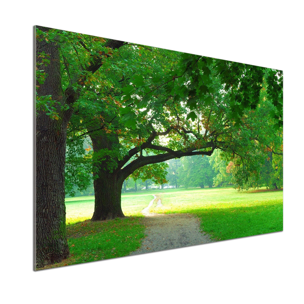 Panel do kuchni Park jesienią