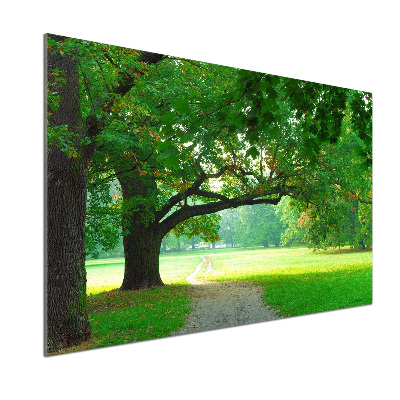 Panel do kuchni Park jesienią