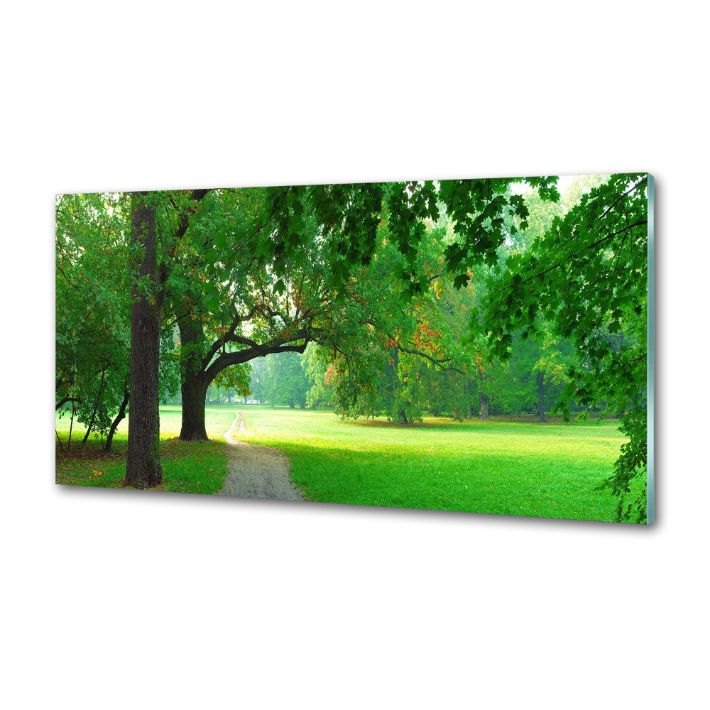 Panel do kuchni Park jesienią