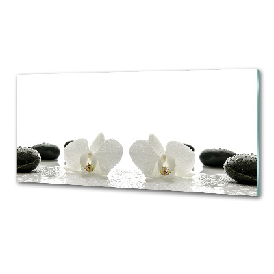 Panel między meble w kuchni Orchidea