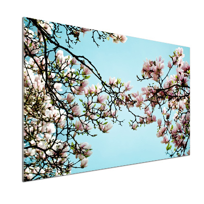 Panel do kuchni Kwiaty magnolii