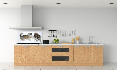 Panel dekor szkło Husky zimą