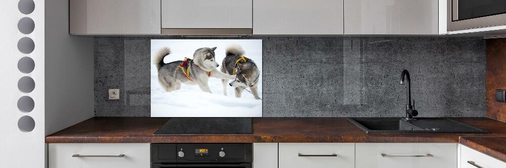 Panel dekor szkło Husky zimą