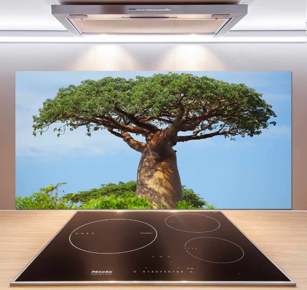 Panel szklany do kuchni Baobab