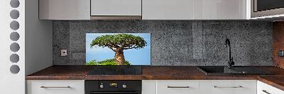 Panel szklany do kuchni Baobab