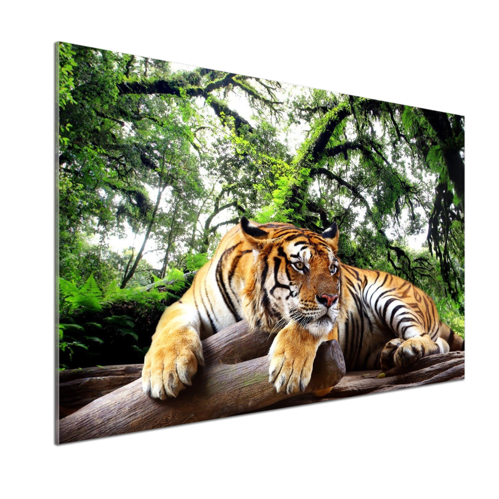 Panel do kuchni Tygrys na skale