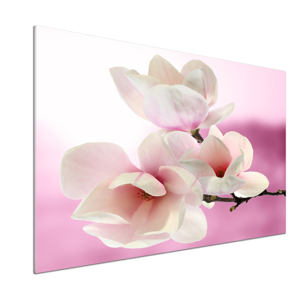 Panel między meble w kuchni Magnolia