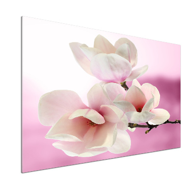 Panel między meble w kuchni Magnolia