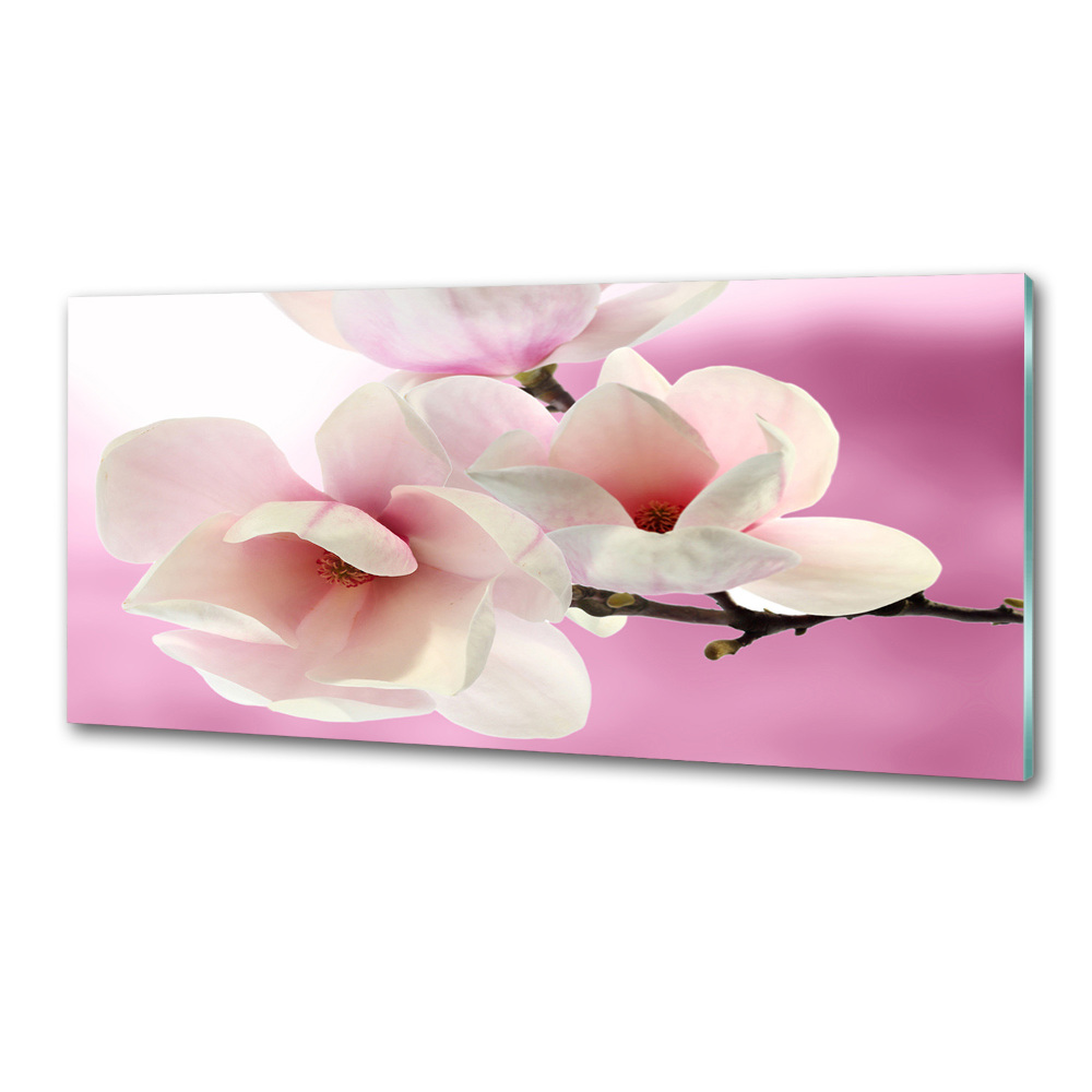 Panel między meble w kuchni Magnolia