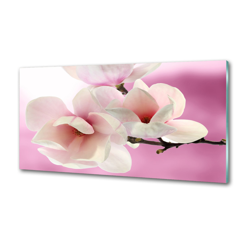 Panel między meble w kuchni Magnolia