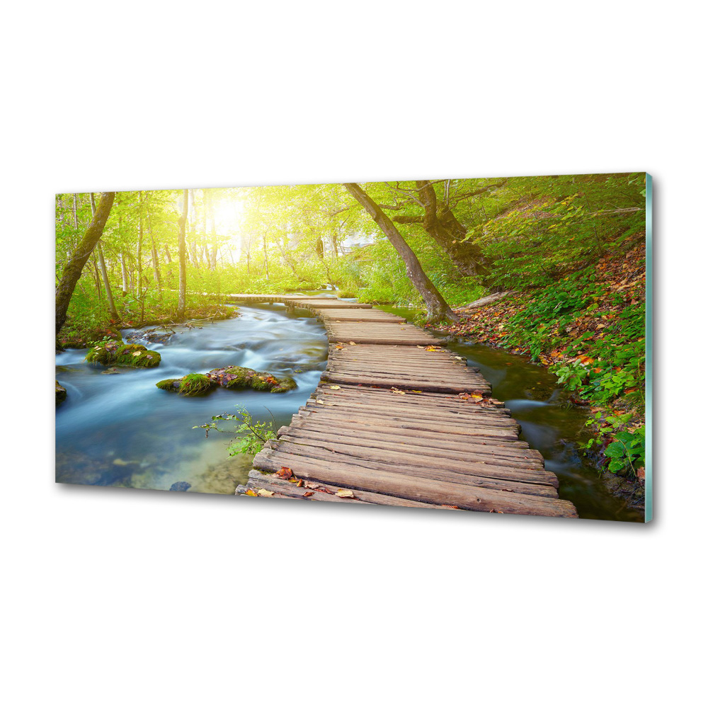 Panel do kuchni Ścieżka w lesie