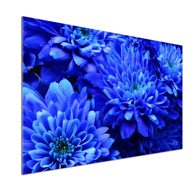 Panel do kuchni Niebieski aster