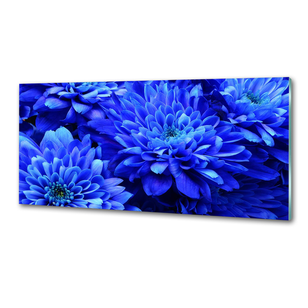 Panel do kuchni Niebieski aster