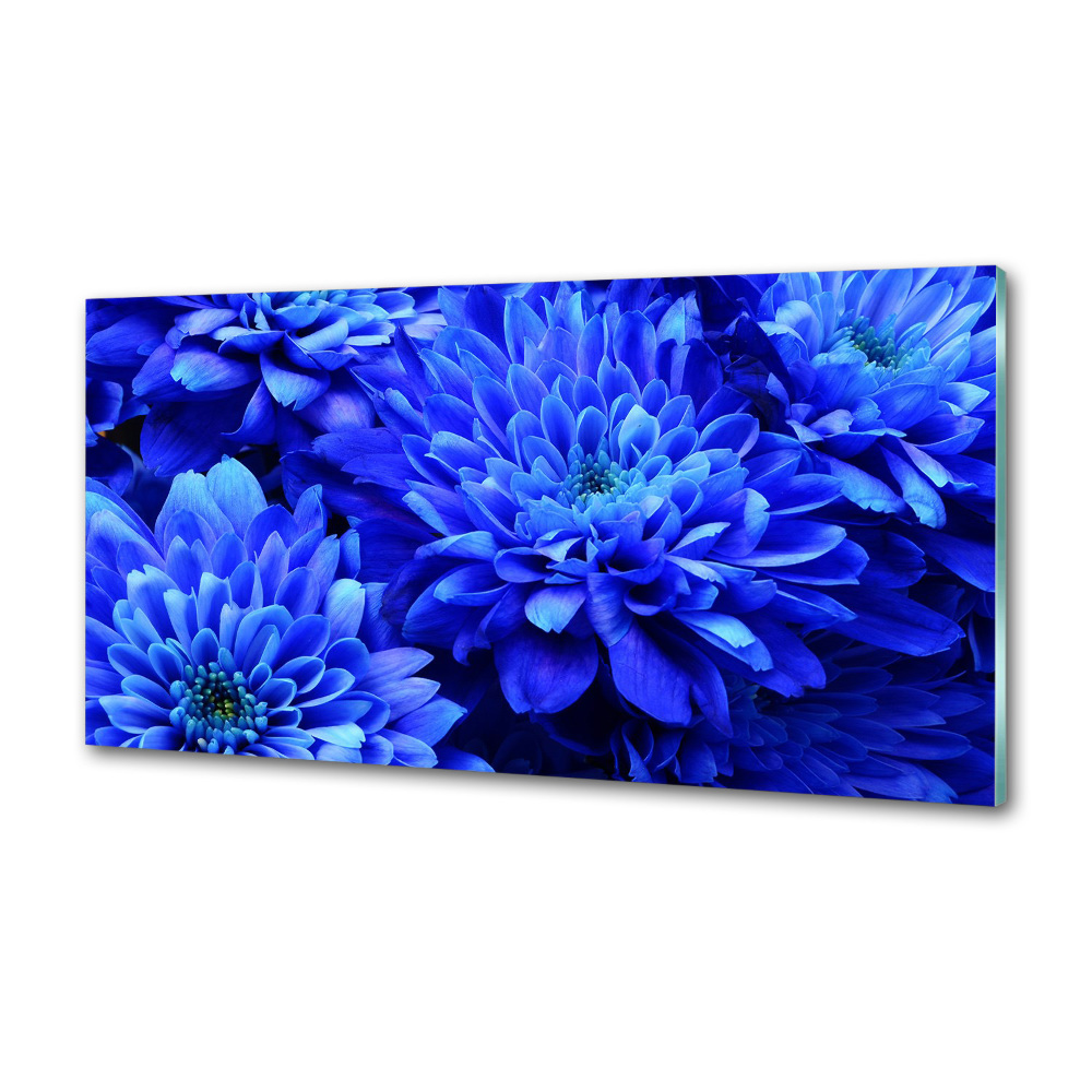 Panel do kuchni Niebieski aster