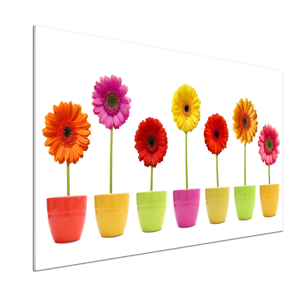 Panel do kuchni Kolorowe gerbery
