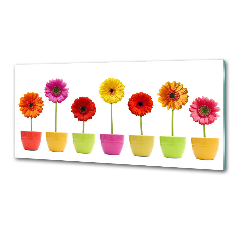 Panel do kuchni Kolorowe gerbery