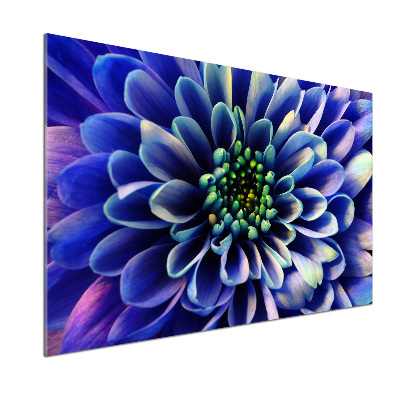 Panel szklany do kuchni Aster