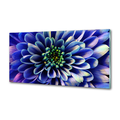 Panel szklany do kuchni Aster