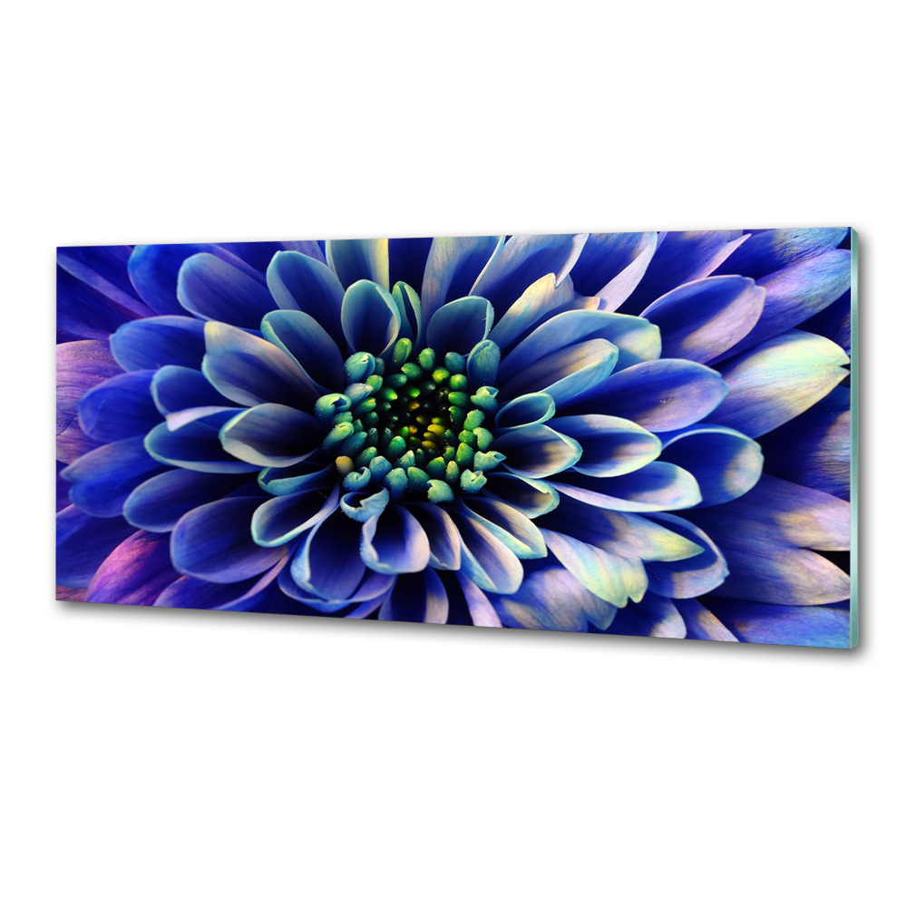 Panel szklany do kuchni Aster