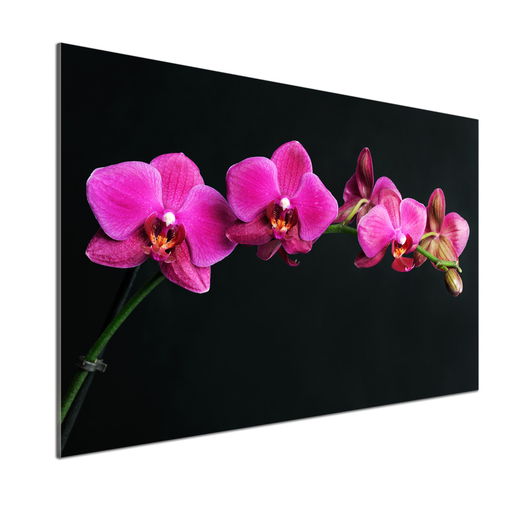 Panel między meble w kuchni Orchidea