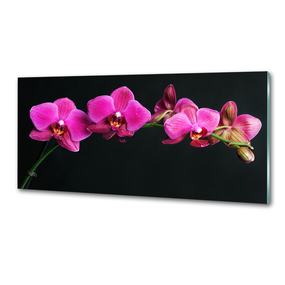 Panel między meble w kuchni Orchidea