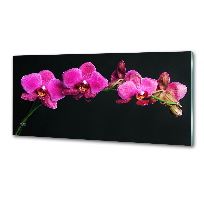 Panel między meble w kuchni Orchidea