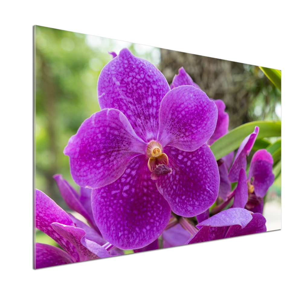 Panel między meble w kuchni Orchidea