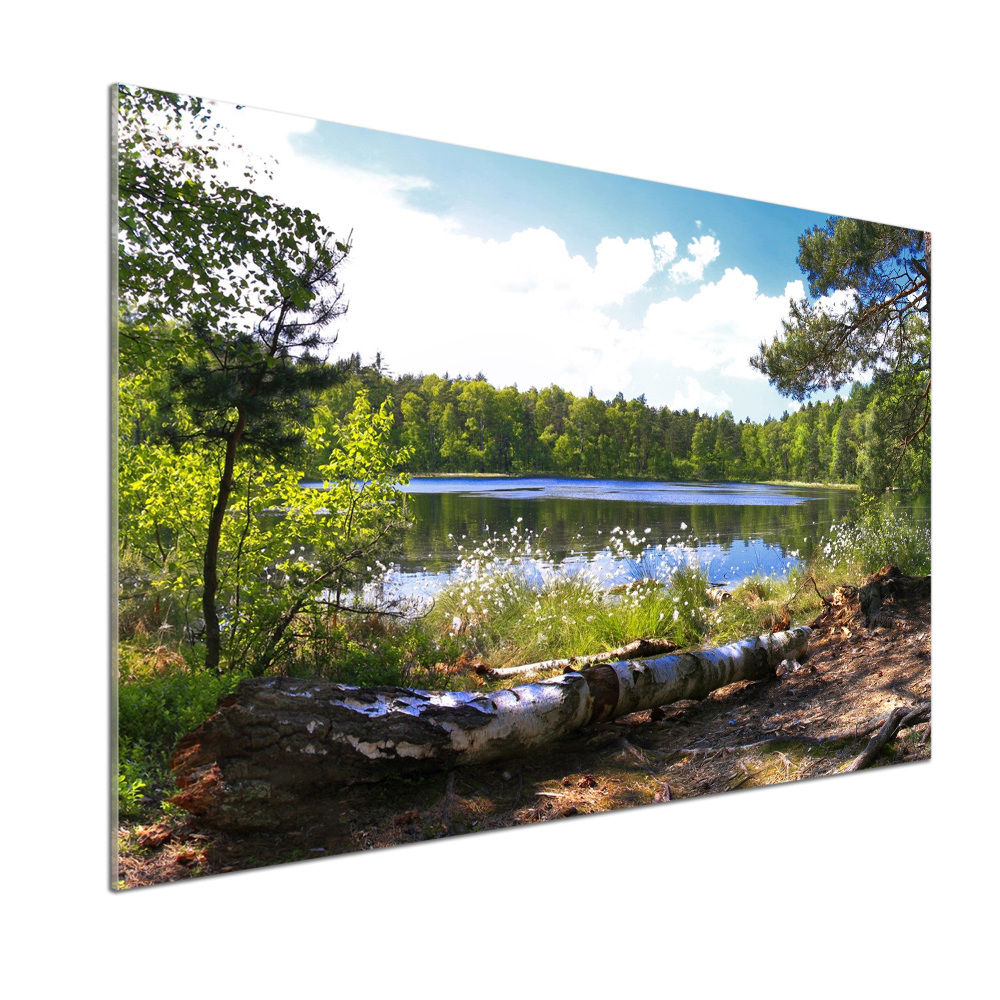 Panel do kuchni Leśna panorama