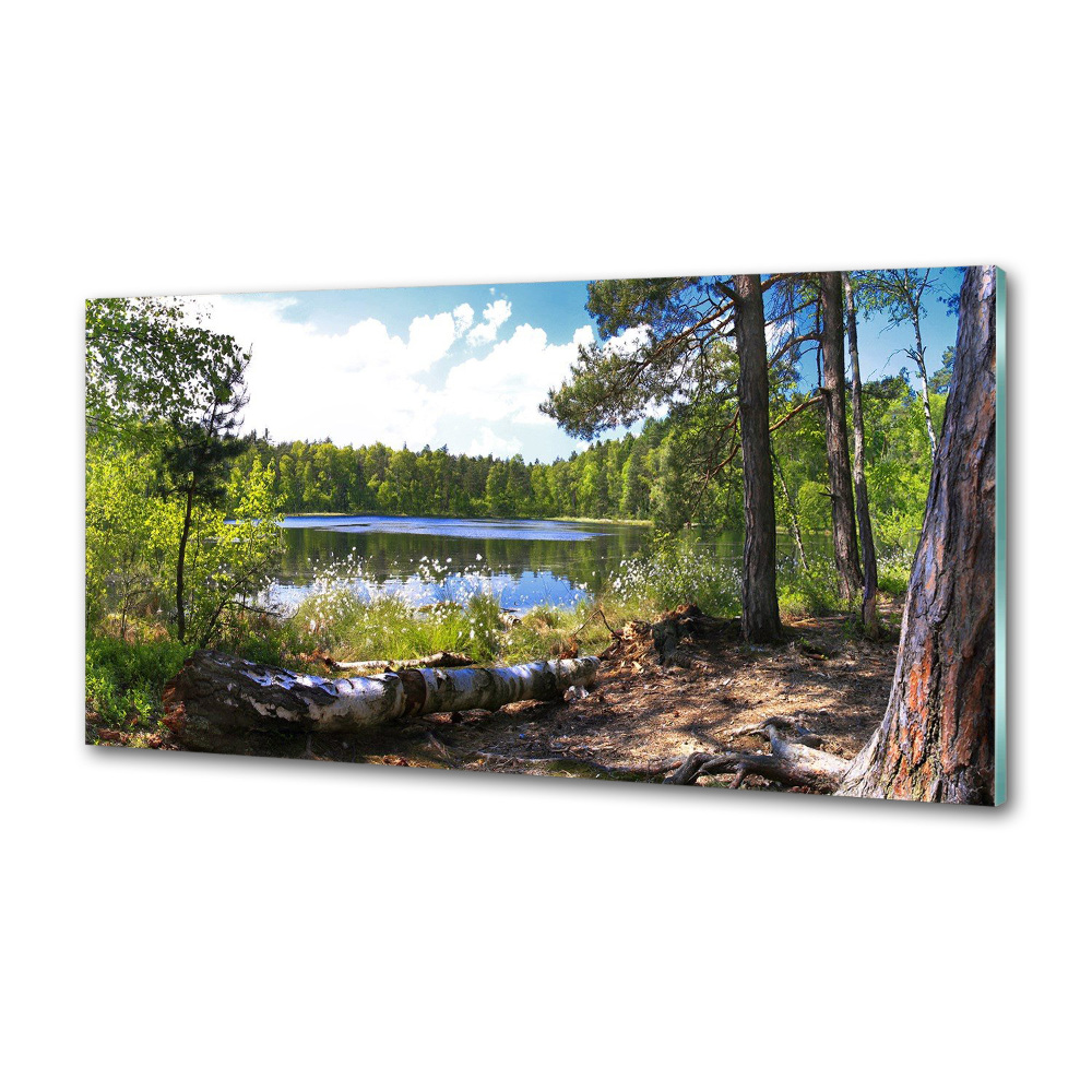 Panel do kuchni Leśna panorama