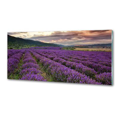 Panel dekor szkło Pole lawendy