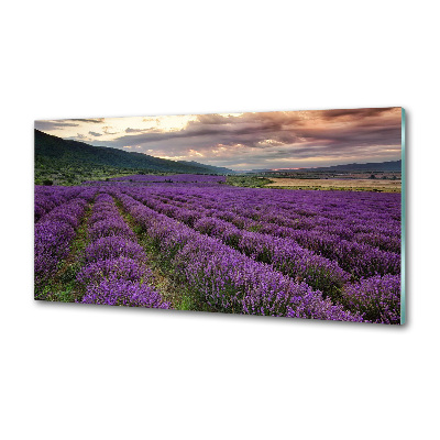 Panel dekor szkło Pole lawendy