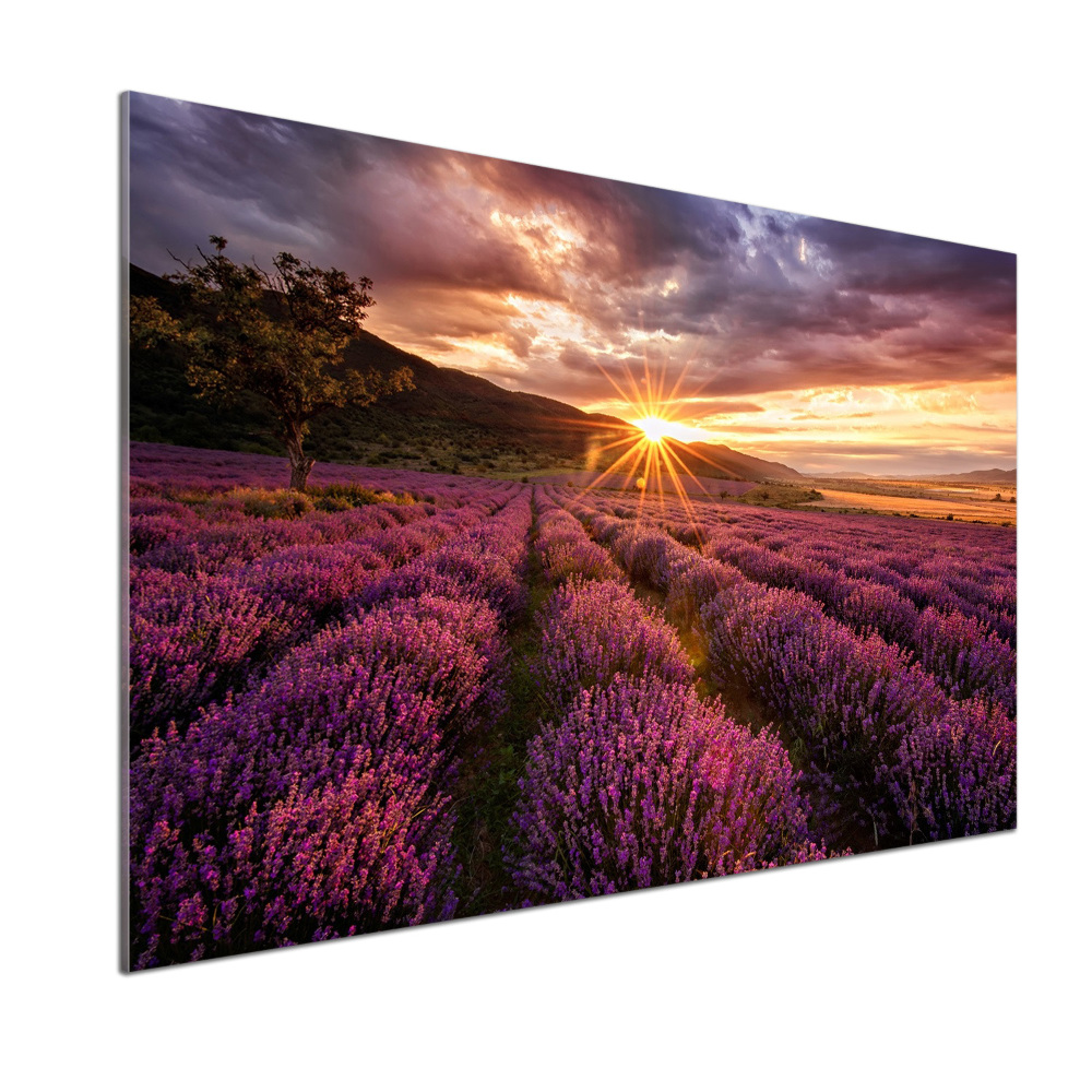 Panel dekor szkło Pole lawendy